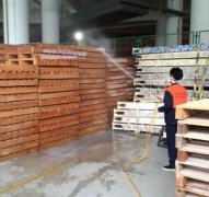 保稅區殺蟲案例展示